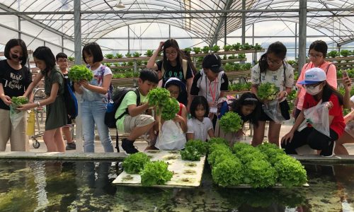 GT-Hi-tech-Farm-1