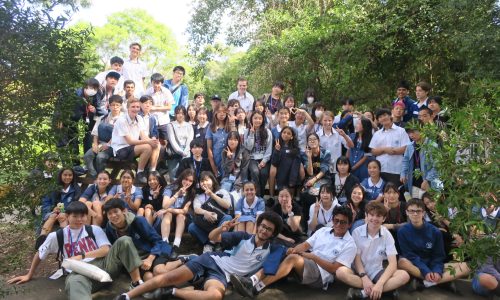 High School Immersion (1)