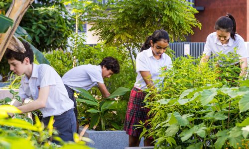 dulwich_sustainableschool_honeykidsasia